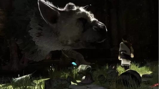 ps4《最后的守护者》 港版中文pkg文件_0