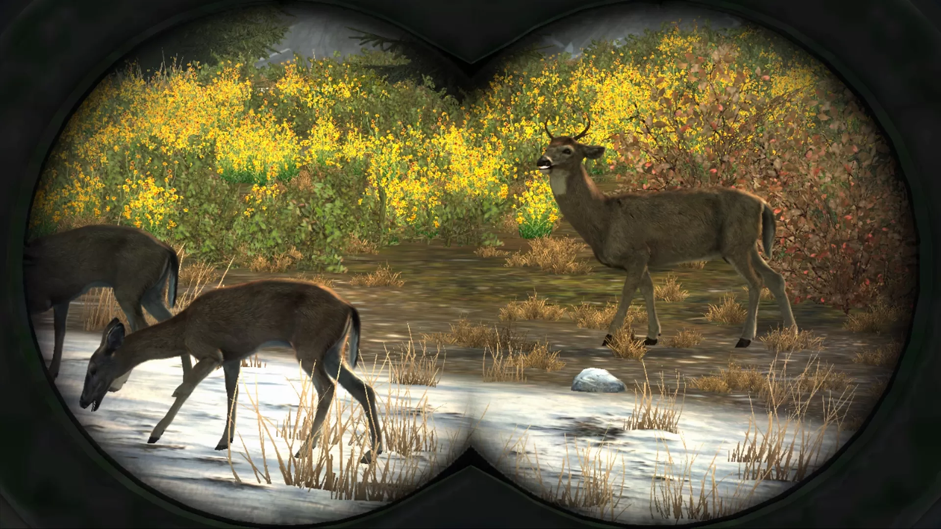 XBOX 360《坎贝拉猎人:职业狩猎(Cabelas Big Game Hunter Pro Hunts)》英文版GOD下载_1