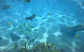 switch《水族馆电视Aqua TV 》英文版NSP下载