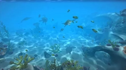 switch《水族馆电视Aqua TV 》英文版NSP下载_0
