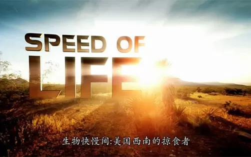 [3DS] 《生命之速(Lifespeed)》英文版CIA下载