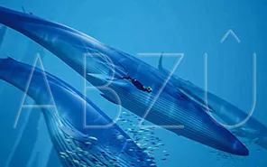switch《ABZU》中文版NSP下载