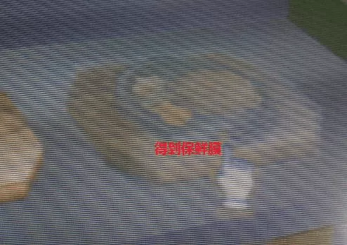 [3DS] 《密室脱出：愉快的猴子与家庭餐厅篇》中文版CIA下载_17