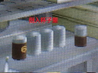 [3DS] 《密室脱出：愉快的猴子与家庭餐厅篇》中文版CIA下载_28