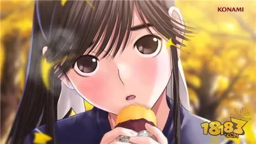 [3DS]《爱相随-》日文版CIA下载_2