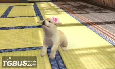 [3DS]《任天猫狗 柴犬与新伙伴》中文汉化版CIA下载_2