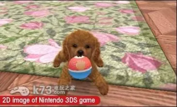 [3DS]《任天猫狗 玩具贵宾犬与新伙伴》中文版CIA下载_2