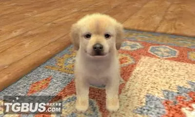 [3DS]《任天猫狗 柴犬与新伙伴》中文汉化版CIA下载_0