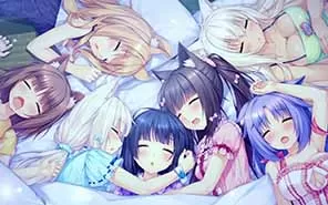 switch《巧克力与香子兰》含1.02补丁 NSP下载