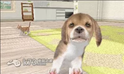 [3DS]《任天猫狗 法国斗牛犬与新伙伴》中文版CIA下载_2