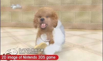 [3DS]《任天猫狗 玩具贵宾犬与新伙伴》中文版CIA下载_1