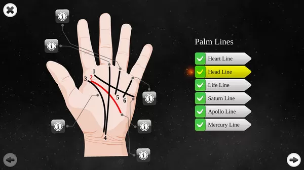 switch《看手相.Palm Reading Premium》英文版NSP下载_1