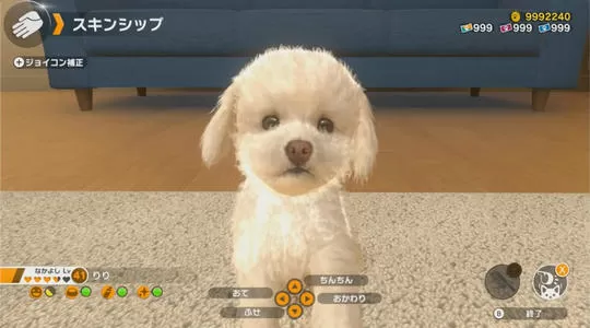 switch《好朋友吸猫&撸狗 LITTLE FRIENDS -DOGS &CATS》XCI下载[百度云-城通]_1