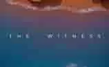 switch《目击》英文版NSP下载