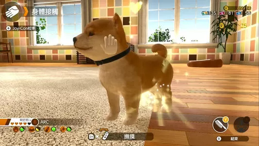 switch《小小伙伴：狗狗与猫猫》中文版xci下载_1