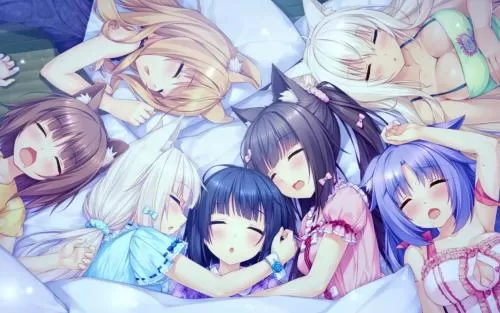 switch《巧克力和香子兰Vol. 3》中文版nsp/xci整合版下载-1.02补丁_0