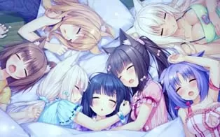 switch《巧克力和香子兰Vol. 3》中文版nsp/xci整合版下载-1.02补丁