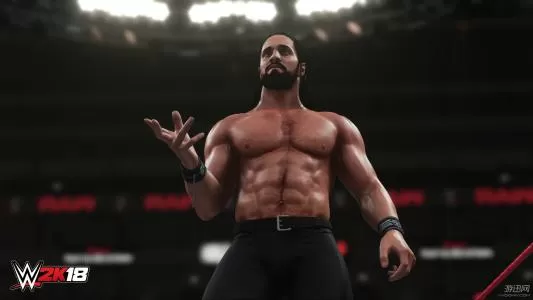 switch《美国职业摔角联盟2018 WWE 2K18》本体+补丁+DLC下载_1