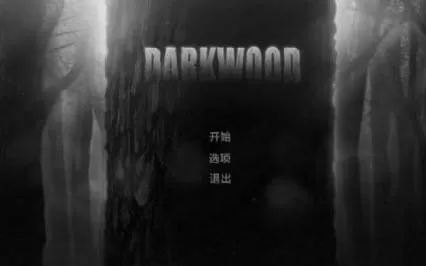 [PC]《阴暗森林 Darkwood》中文版下载（v1.3）