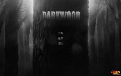 [PC]《阴暗森林 Darkwood》中文版下载（v1.3）_0