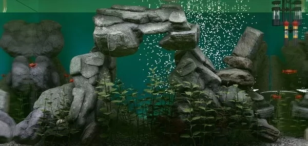 [PC]《鱼缸模拟器 Biotope》英文版下载_0
