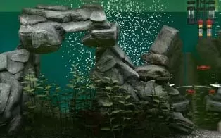 [PC]《鱼缸模拟器 Biotope》英文版下载