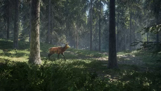 [PC]《猎人：野性的呼唤》中文版下载v2475303版|集成全DLC_0