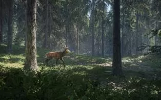[PC]《猎人：野性的呼唤》中文版下载v2475303版|集成全DLC