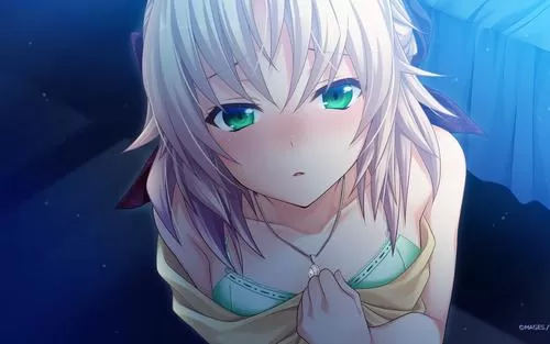 switch《秋之回忆8无垢少女》中文版nsp+xci整合版下载【含最新1.04补丁】_1