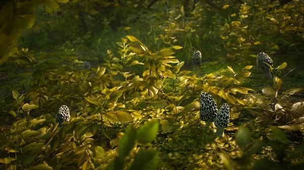 [PC]《羊肚菌：狩猎》中文版下载_1