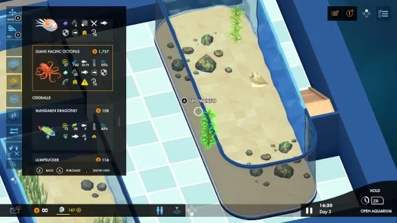 switch《巨型水族馆 Megaquarium》英文版nsp下载-最新补丁_0