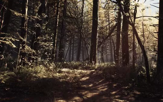 [PC]《女巫布莱尔 Blair Witch》豪华版中文版下载