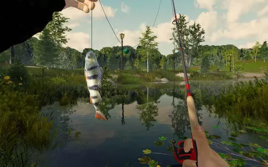 [PC]《钓鱼大冒险 Fishing Adventure》中文版下载