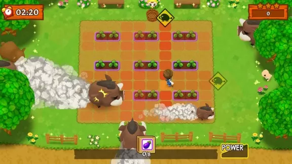 switch《牧场物语 乱撞》中文版nsp下载_0