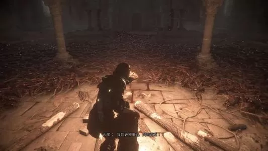 [PC]《瘟疫传说无罪》中文版下载_2