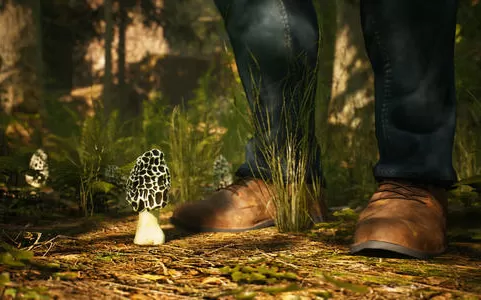 [PC]《羊肚菌狩猎游戏 Morels The Hunt》中文版下载