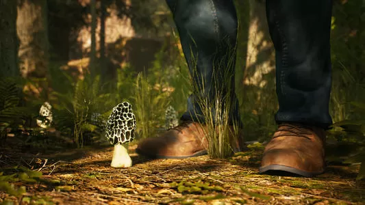 [PC]《羊肚菌狩猎游戏 Morels The Hunt》中文版下载_0
