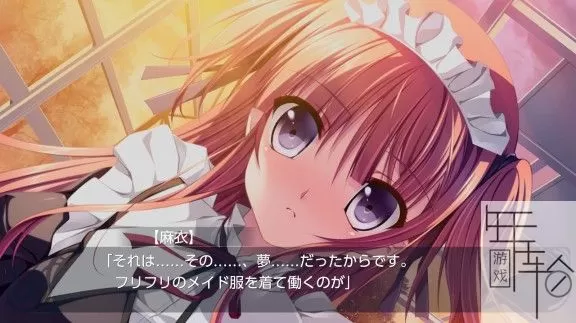 【伪娘向】switch《恋爱少女与守护之盾～蔷薇圣母～》日文版nsp+nsz-1.02补丁下载_3