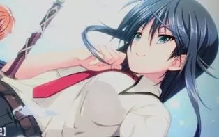 【伪娘向】switch《恋爱少女与守护之盾～蔷薇圣母～》日文版nsp+nsz-1.02补丁下载