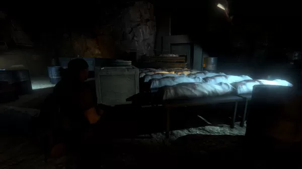 爆发:瘟疫 Outbreak: Epidemic PC英文版下载_1