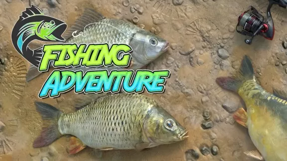 switch《钓鱼大冒险 fishing adventure》中文版nsz下载_0