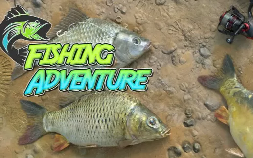 switch《钓鱼大冒险 fishing adventure》中文版nsz下载