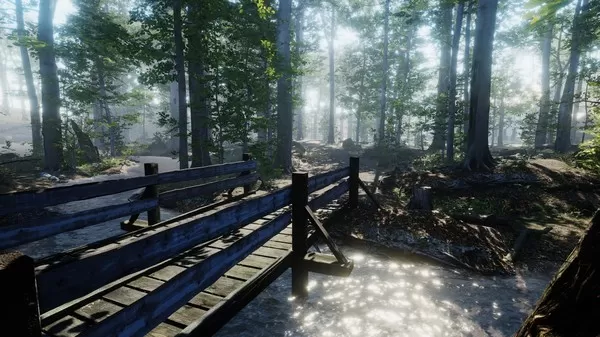 森林里的房子 The House in the Forest PC英文版下载_0