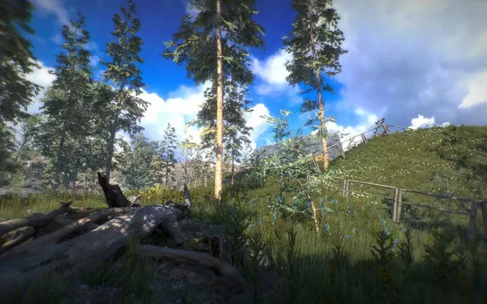 位置 Position PC中文版下载