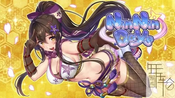 【稀缺资源】switch《NinNinDays+NinNinDays2》合集中文版nsp下载_0