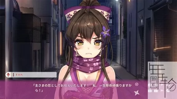【稀缺资源】switch《NinNinDays+NinNinDays2》合集中文版nsp下载_2