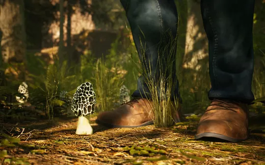 羊肚菌:狩猎 Morels: The Hunt PC中文版下载