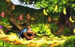 3DS《超级大金刚3》美版英文CIA下载