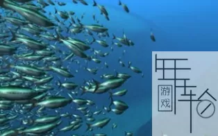 PS3《潜水员的假日 堡礁秘辛》 繁体中文 ISO下载