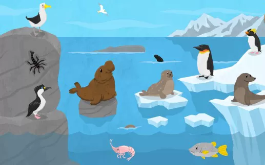switch《Animal Fun for Toddlers and Kids》英文版nsp-xci下载